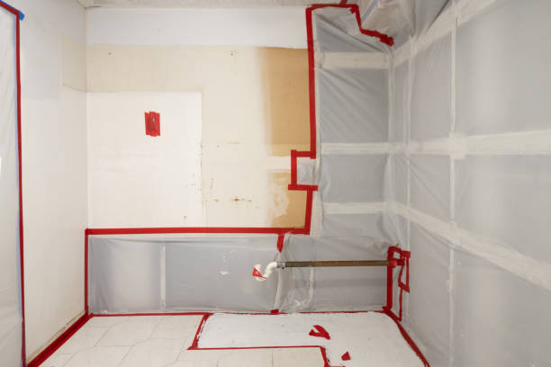 Best Post-Remediation Verification Testing  in Warren, MN