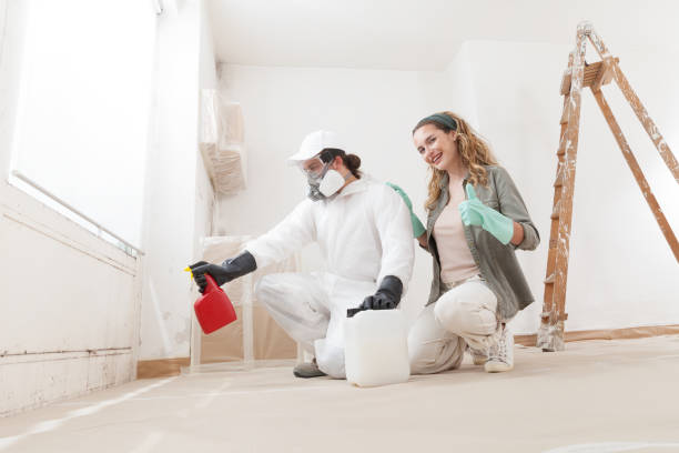 Best Mold Remediation for Vacation Homes  in Warren, MN